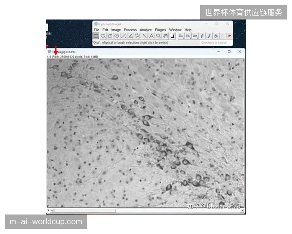 场馆侧软硬件匹配度不足如何拖累全球转播信号质量